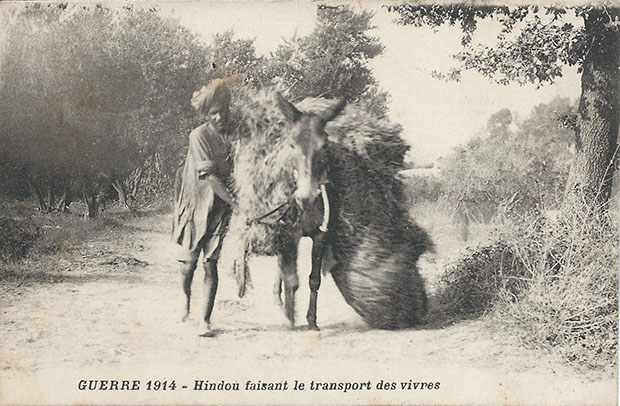 "Guerre 1914. Hindou faisant le transport des vivres" (Hindu beim Transport von Lebensmitteln). Carte Postale, Correspondance militaire, beschriftet, ohne Datum. Sammlung Detlev Brum.